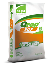 Potassium Sulfate (Sulfate of Potash)